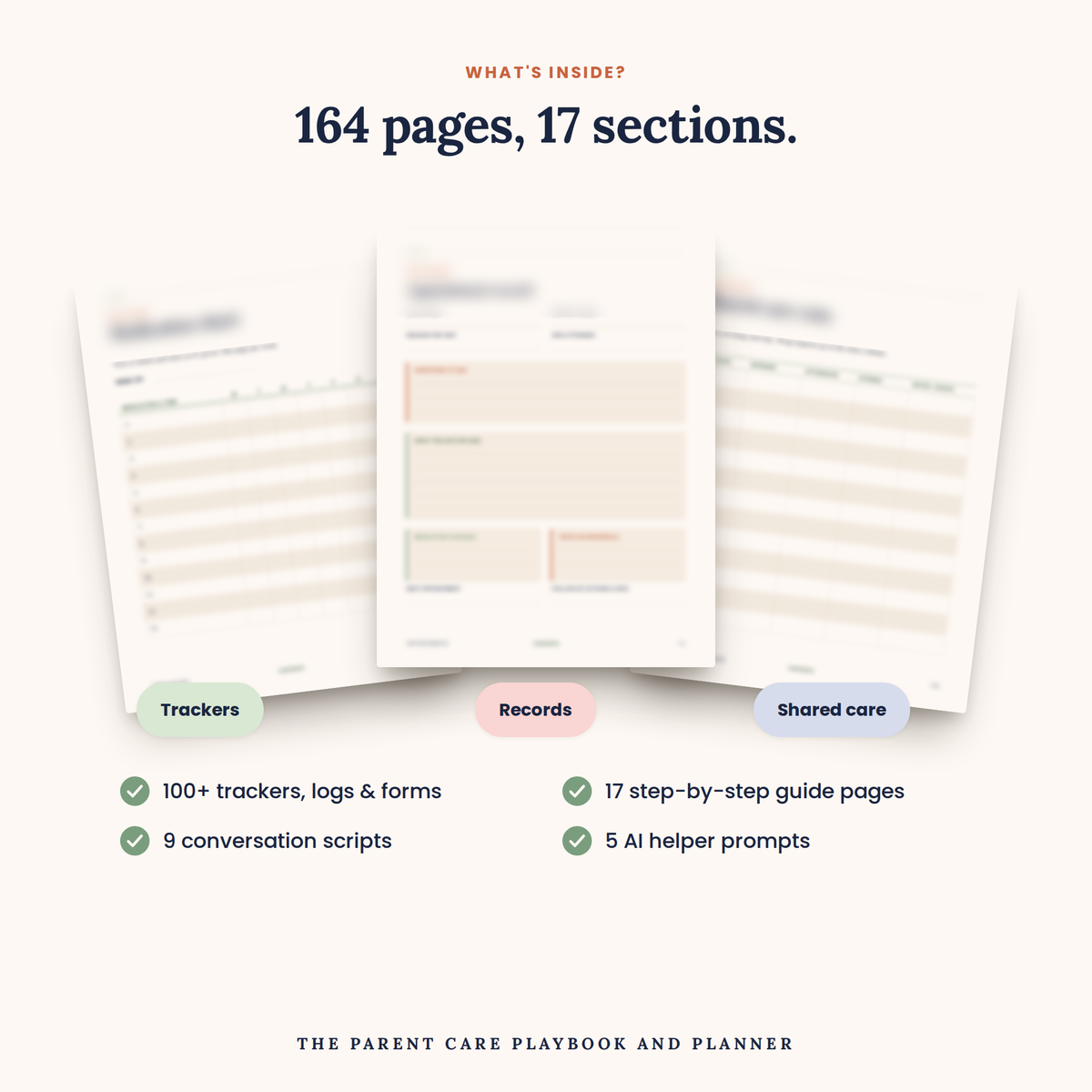 164 pages, 17 sections